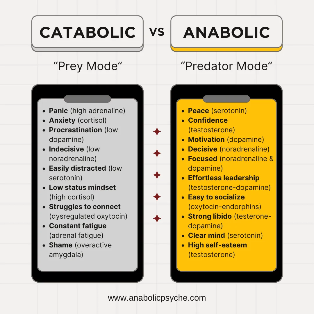 Catabolic (prey mode) vs Anabolic (predator mode) comparison